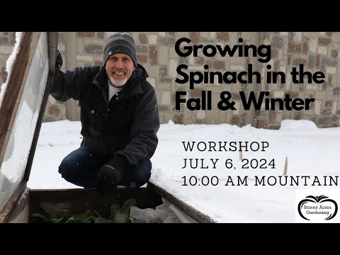 Growing Spinach in The Fall and Winter   2024 FREE Workshop