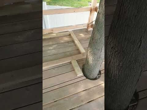 treehouse update #treehouse #subscribe #shorts #trees