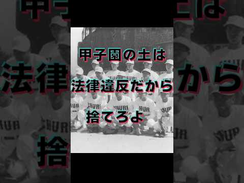 「甲子園の土は法律違反だから捨てろよ」甲子園出場も、甲子園の土を持って帰ることができなかった高校の物語とは #甲子園