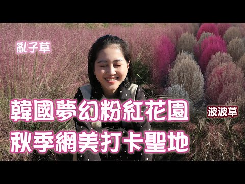 韓國首爾夢幻打卡聖地 秋天必去的粉紅花園 나리公園 +天空公園｜Vivianwoo