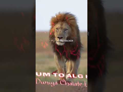 Lion Attitude shayari status||Matlabi Hamne be dekhe hai #youtubeshorts#viral#shayari#shorts