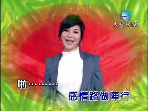 林柔均 v s 林哲輝 - 戀愛列車 【KTV 導唱字幕】