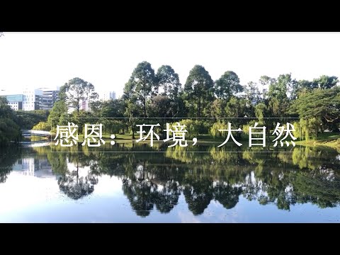 感恩日记：环境，大自然 #新加坡#感恩