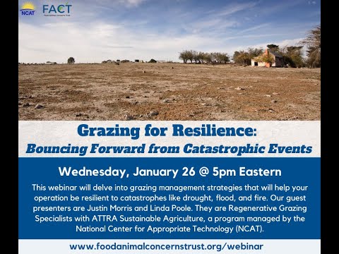 Grazing for Resilience: Bouncing Forward from Catastrophic Events