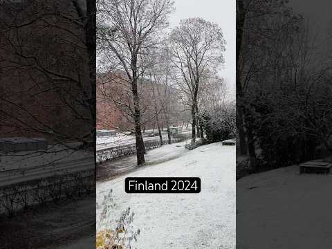 Finland Winter 2024 🥶 ❄️ #finland #winter2024 #snowfall