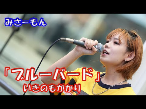 【歌ってみた】みさーもんさん いきのもがかり「ブルーバード」路上ライブ