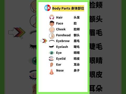 【零基礎英文】身體部位單詞 body parts #英文   #常用 英文 #單詞 口語 #常見短語 #常見短語