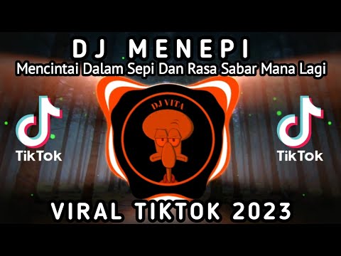 DJ MENEPI - MENCINTAI DALAM SEPI DAN RASA SABAR MANA LAGI || VIRAL TIKTOK TERBARU 2023