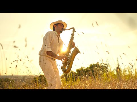 GLADIATOR - Now We Are Free | Sax Cover Daniele Vitale