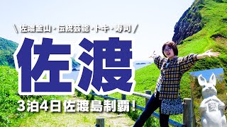 【佐渡観光】3泊4日トキの森公園・佐渡芸能・佐渡金山・ウサギ観音・展望台etc...大自然に浸る佐渡大満喫Vlog