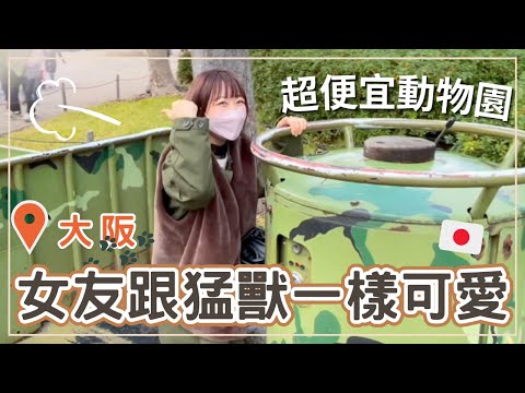 【大阪景點】天王寺動物園｜跟櫻花妹去感受戀愛與動物的童話時刻｜台日情侶約會｜王子日記