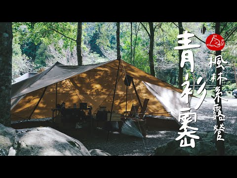 【 森林系露營 】青衫嶴露營區探險記 | 連續七次露營暴雨｜苗栗南莊｜#陸系酒豚 #楓林區 #青衫嶴 #zanearts