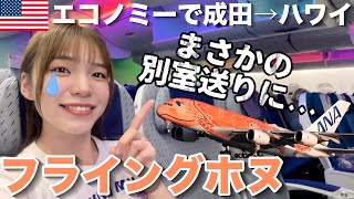 憧れのANAフライングホヌに乗ってハワイへ‼️だけど別室送りに...【エコノミー】