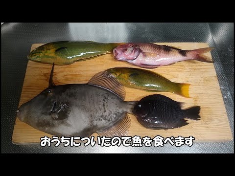 ブス４人と行く三宅島　おじさんの火あぶり