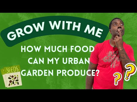 GROW WITH ME - Can You Grow THIS MUCH Food in an Urban Garden?