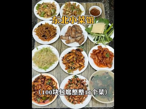 100块勇闯东北小菜馆，11个大盘菜有鱼有肉一大桌。