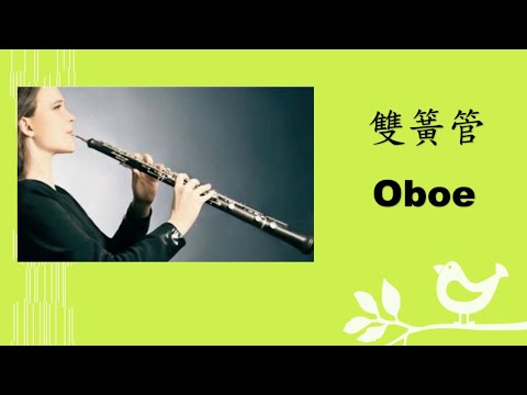 西洋樂器與古典音樂 - 木管樂器(雙簧管)+莫札特(C大調雙簧管協奏曲)