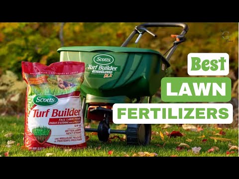 Best Lawn Fertilizers: Nourish Your Lawn to Perfection | The Guardians Choice