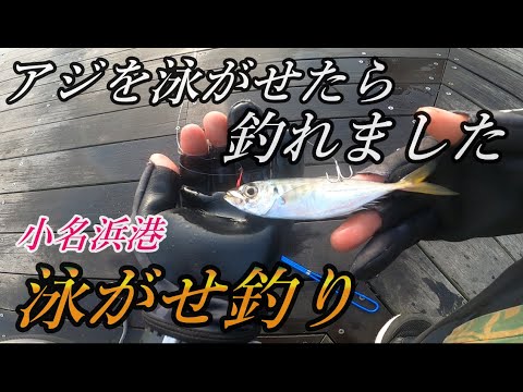 【泳がせ釣り】アジをエサに泳がせたら釣れました！泳がせ釣りは夢とロマンが溢れてる！灼熱の福島県の小名浜港！