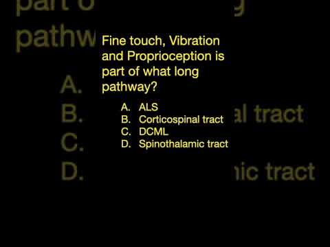 Long Sensory Pathways #shorts (Part A)