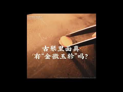 古琴里面真有“金徽玉轸”吗？【古琴100问⑮】 #古琴#读书#古琴文献研究室#刘晓睿