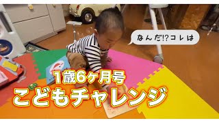 【1歳6ヶ月号こどもチャレンジ】実際に遊ばせてみた！