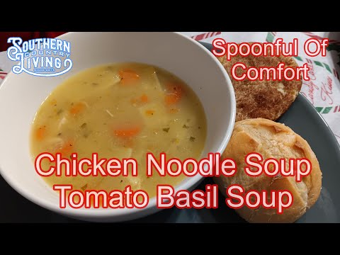 Spoonful Of Comfort  --  Chicken Noodle and Tomato Basil Soup