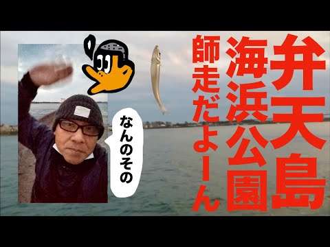 [初心者釣り日記] 師走の弁天島海浜公園でいつものあいつに出会う初心者