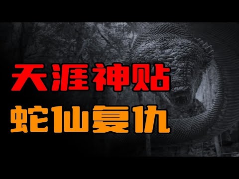 【天涯神贴】东北灵异事，蛇仙复仇！