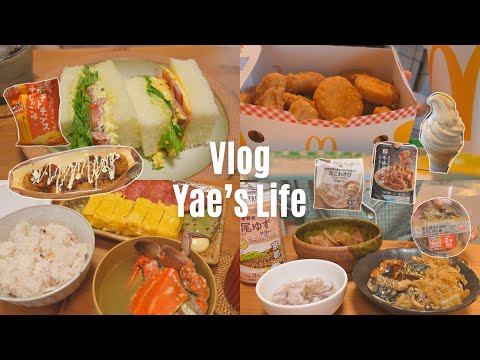 【WHAT I EAT IN JAPAN】Food vlog | Beef Bowl | McDonald's | Cafe