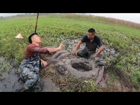 2 Young Men Risked Their Lives To Confron Giant Fish And CarnivorousTurtles