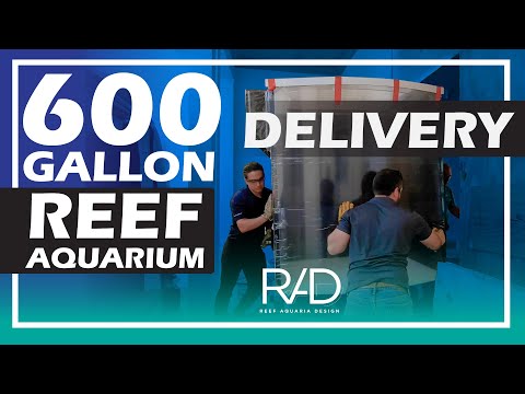 600 GALLON BOW FRONT ACRYLIC AQUARIUM DELIVERY IN NORTH WEST PALM BEACH BY REEF AQUARIA DESIGN.