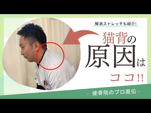 【猫背の治し方】姿勢がわるい、肩が前にくる、腕が上がりにくい方へのストレッチ！｜接骨院のプロが教えるお家セルフケア｜テラピスト接骨院