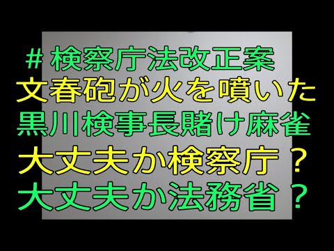 【文春砲　やってしまった賭け麻雀　まさかまさかの黒川検事長　大丈夫か法務省、検察庁】おやじ伝説ぷりんニュース