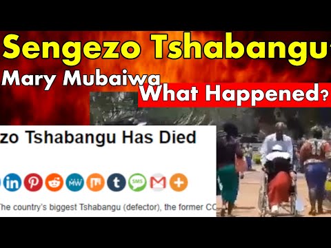 WATCH LIVE; Sengezo Tsabangu, Mary Mubaiwa, Mnangagwa House, What Happened?