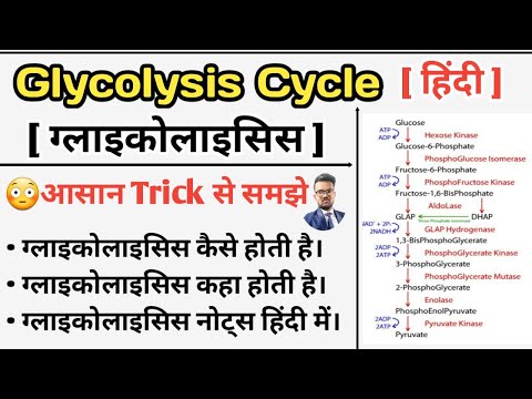 Glycolysis Cycle | Glycolysis Pathway | Carbohydrates Metabolism | Glycolysis in hindi | Glycolysis