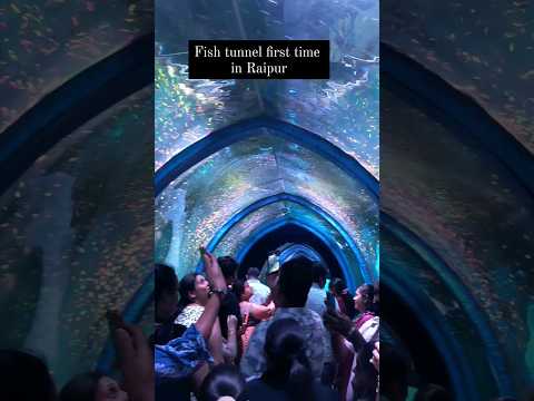 Fish Tunnel First Time in Raipur #fishtunnel #shorts #raipur