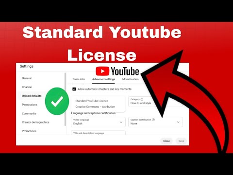 Standard YouTube Licence