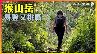 猴山岳-易於登頂又具挑戰性的登山步道