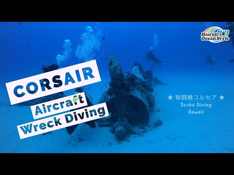 【ハワイ・ダイビング】ハワイカイ沖の戦闘機コルセア！the Corsair Aircraft Wreck Diving in Honolulu