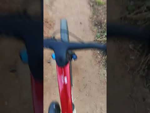 катаюсь на велосипеде #mtb #всемдобра