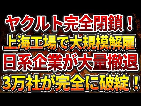 ヤクルト完全閉鎖！上海工場で大規模解雇！日系企業大量撤退！深セン市政府の違法遡及徴収で3万社が完全に破綻！