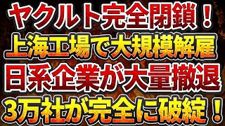 ヤクルト完全閉鎖！上海工場で大規模解雇！日系企業大量撤退！深セン市政府の違法遡及徴収で3万社が完全に破綻！