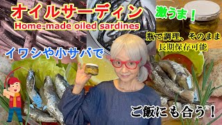 【５分でわかる！オイルサーディンの作り方】瓶で調理！そのまま長期保存！釣った魚を美味しく食べよう#11