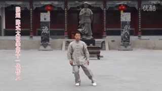 陳超 陳式太極新架二路 Master Chen Chao, Chen style Taichi New frame 2.