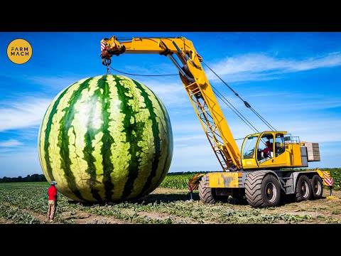 42 Most Incredible Agriculture Machines and Ingenious Equipment