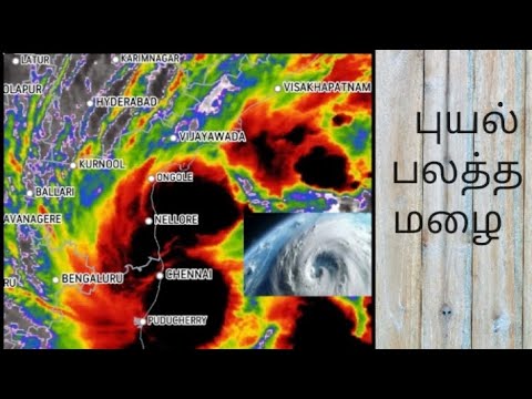 Fungal cyclone 🌀 | heavy rain 🌧️ | Chennai | coimbatore