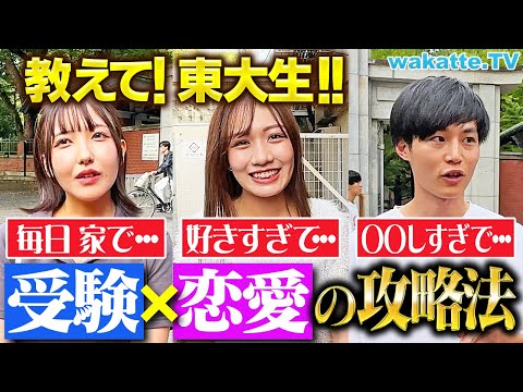 【受験生必見】受験最大の敵「恋愛」どう付き合うべき？東大生に聞いてみた！【wakatte TV】#1139