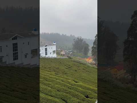 Ooty #ootyhillstation #monsoon #ootytravel #travel #trending