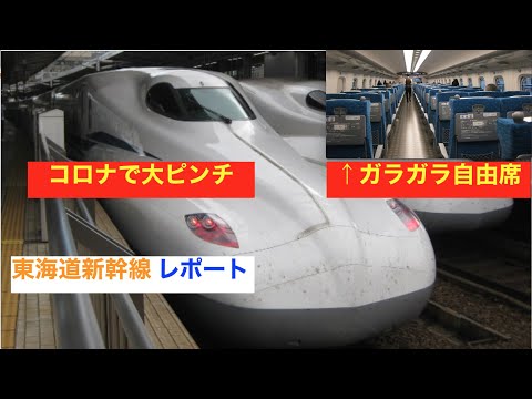 伊豆①　ガラガラ！　東海道新幹線 乗車レポート　名古屋→静岡